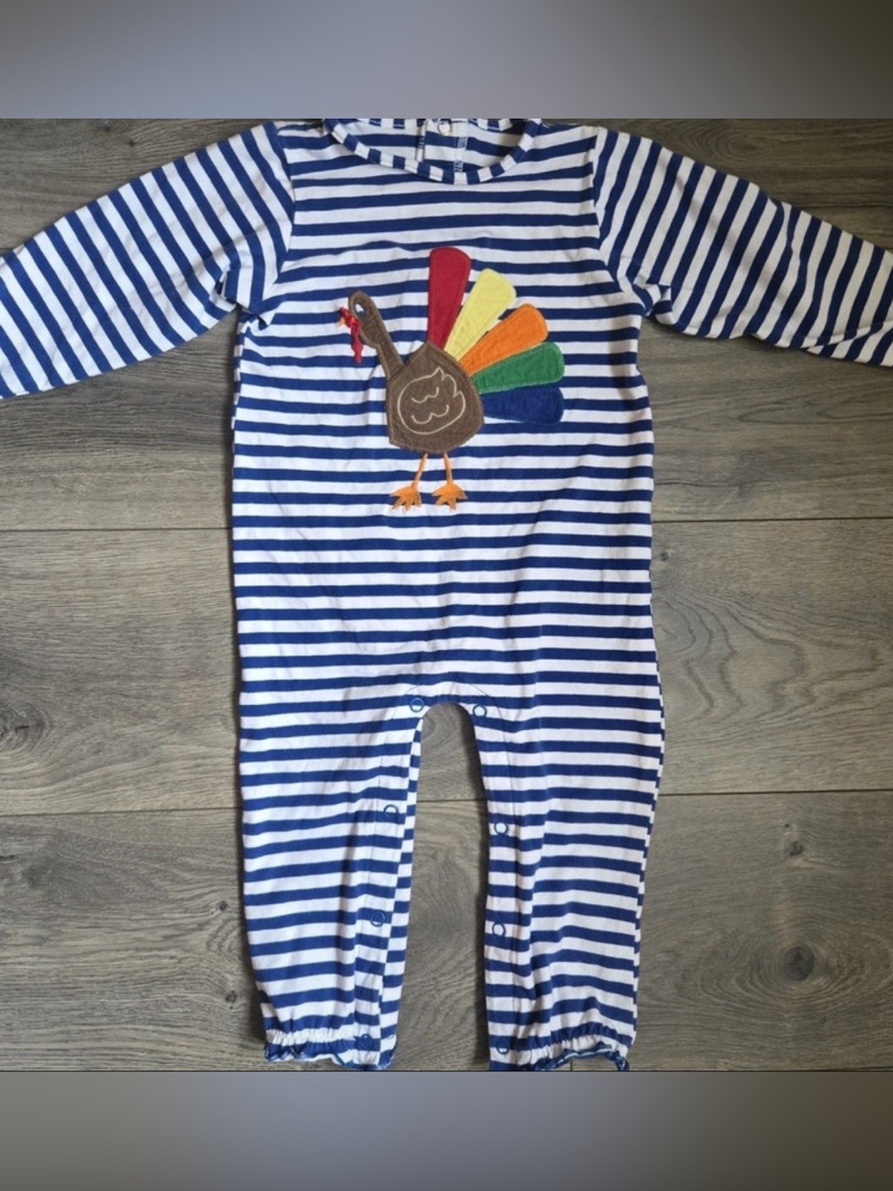 Blue & White Stripe Kids One-Piece with Colorful Turkey Applique